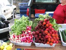 Fresh Picked Vegetables!