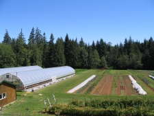 Field and Greenhouse