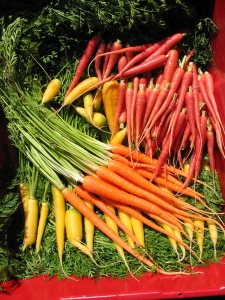 Farm Fresh Carrots